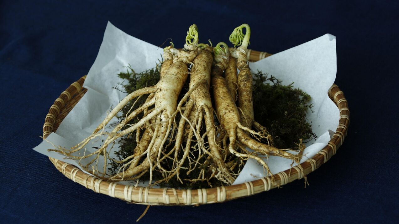 ρίζα ginseng για ισχύ